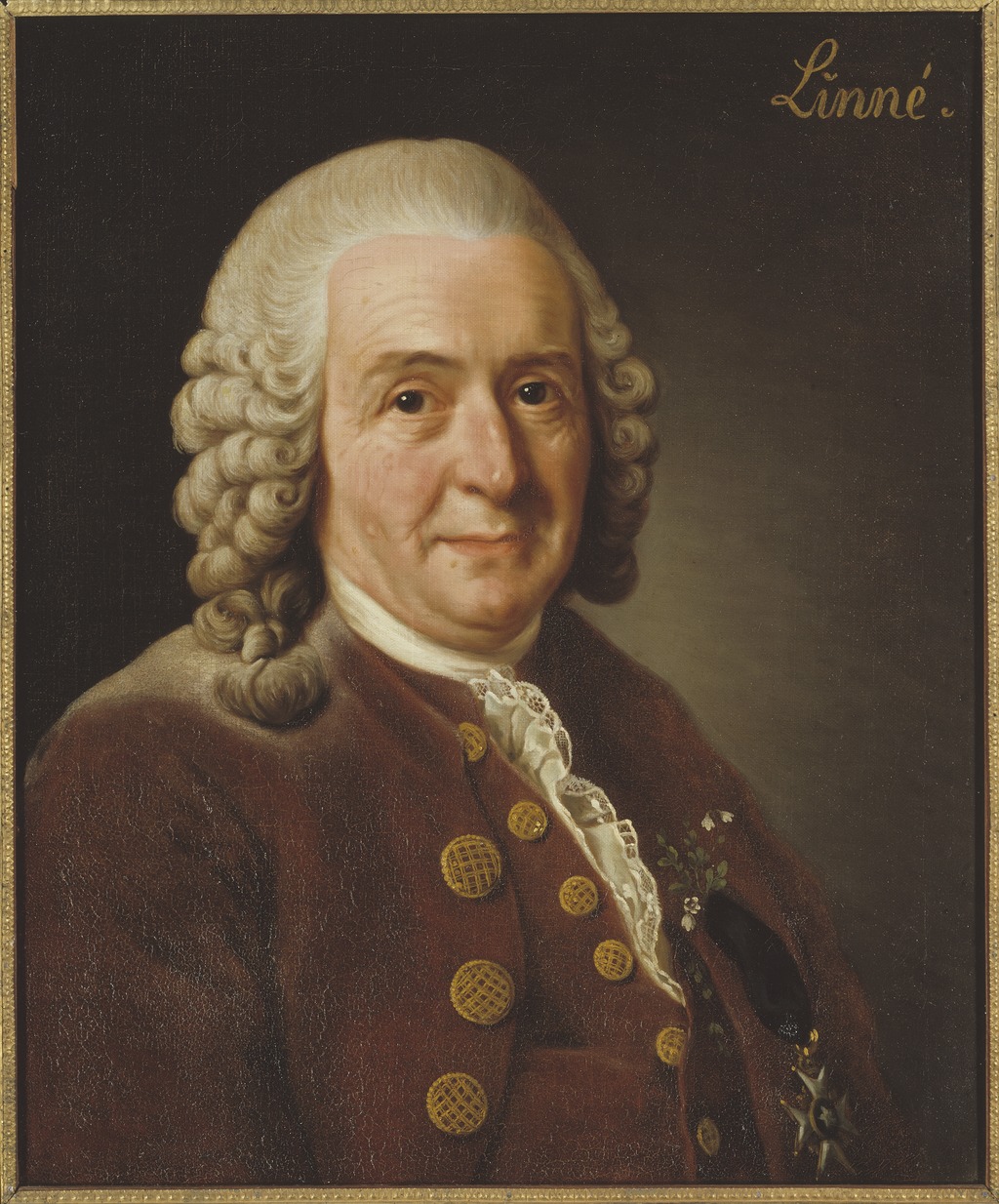 カール・リネウス（カール・フォン・リンネ）：Carl Linnaeus