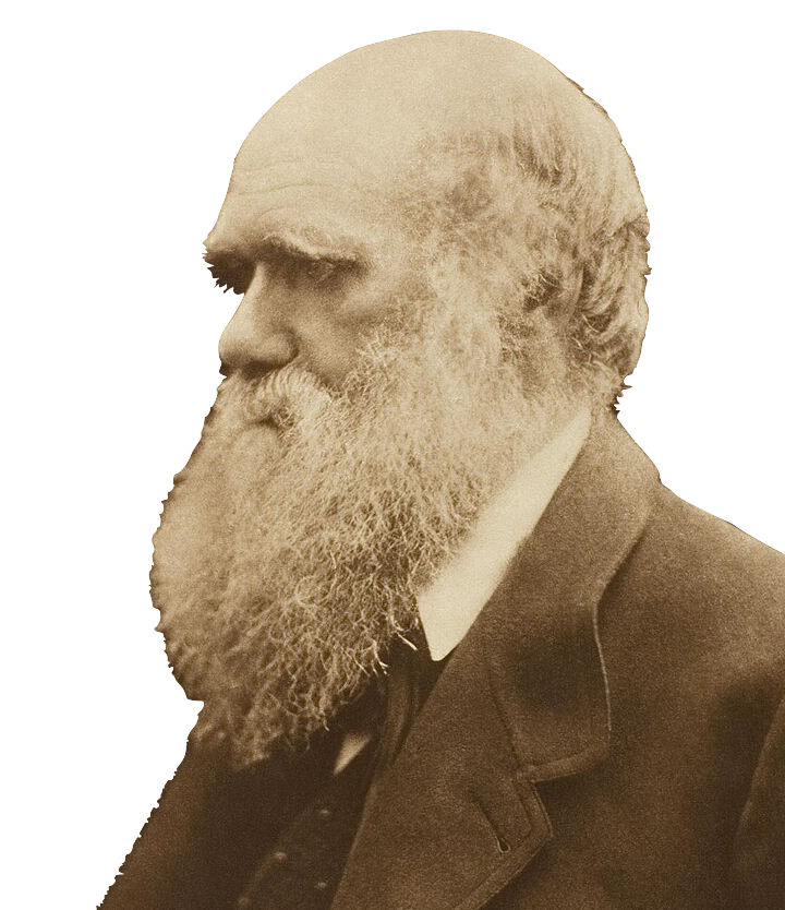 洋書1891年 チャールズ・ダーウィン『人間の進化と性淘汰』 - 洋書