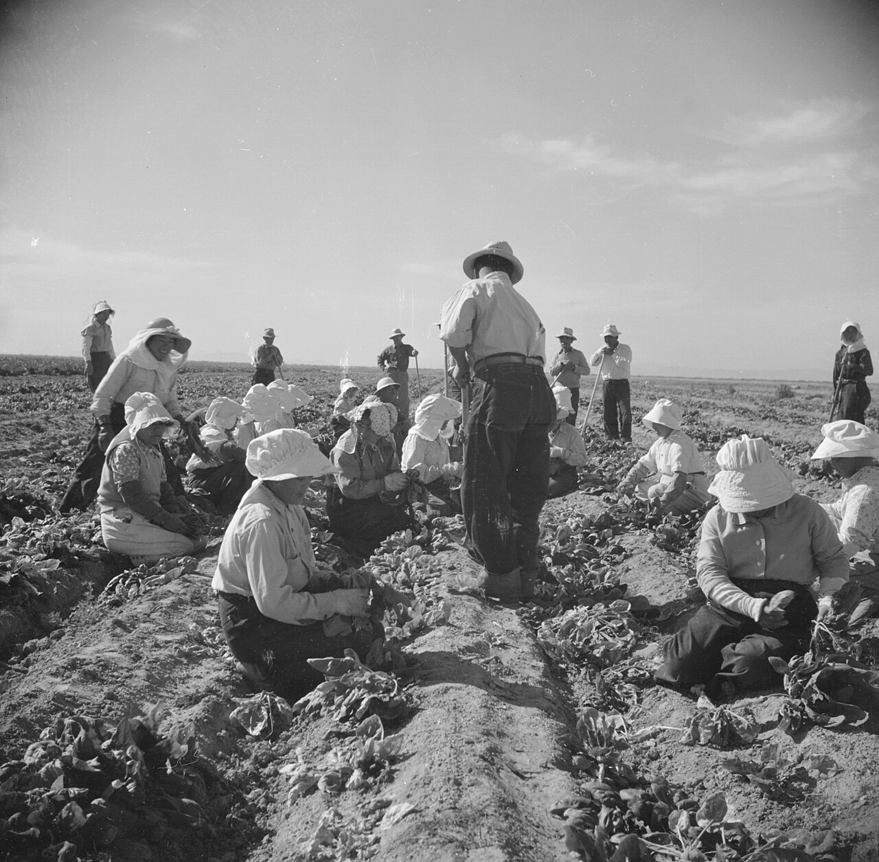 日系アメリカ人の強制収容:Internment of Japanese Americans