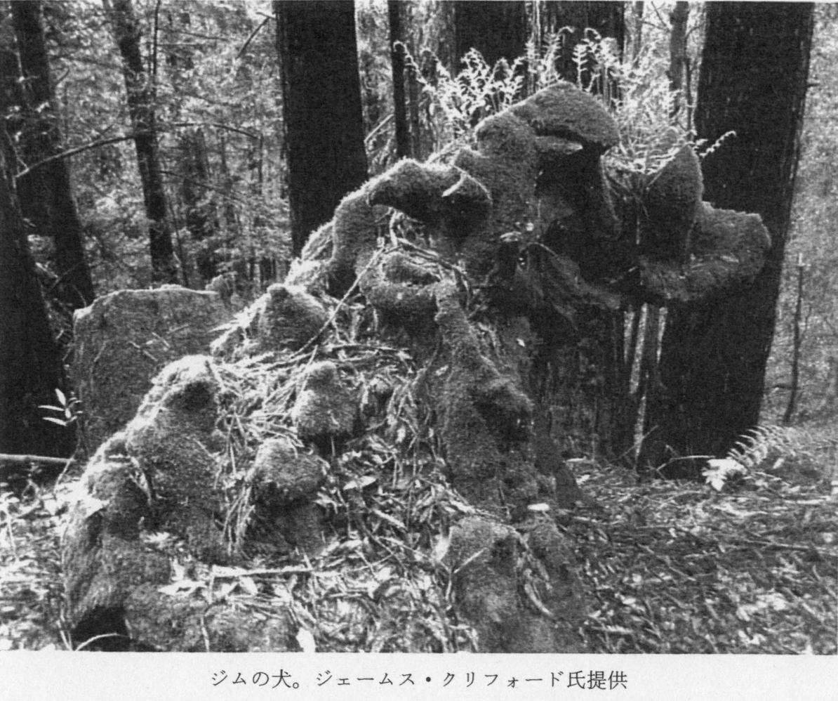 犬と人が出会うとき ダナ・ハラウェイ When Species Meet