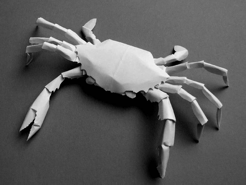 crab by paper