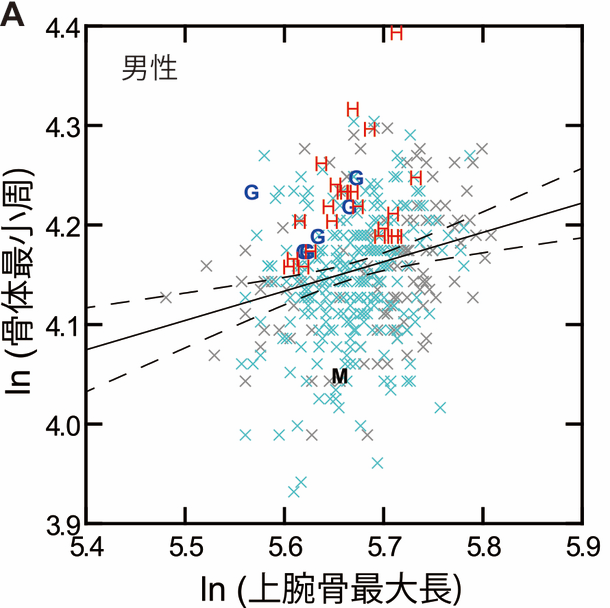 生物人類学：biological anthropology